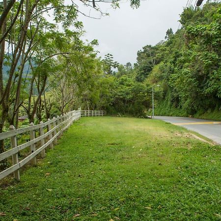 Апартаменты Hacienda Charrascal Coffe Farm Манисалес Экстерьер фото